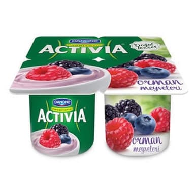 Activia Orman Meyveli