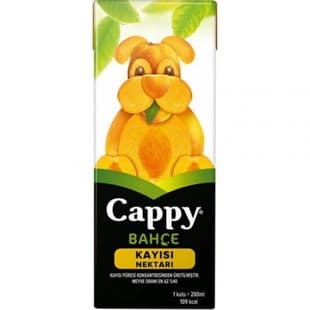 CAPPY KAYISI 200ML