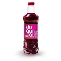 DOGANAY SALGAM SUYU 1 LT Pet ACILI