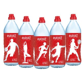 Hayat Su 750 Ml
