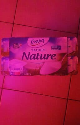 yaourt nature