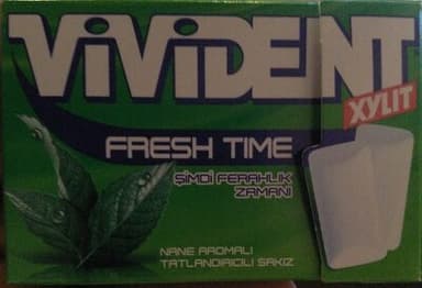 Xylit Fresh Time Mint Chewing Gum