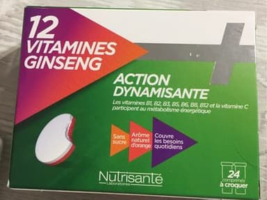 Nutrisante 12 Vitamines+ginseng 24 CPS A Croquer (adult)