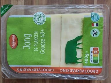 Jong goudse