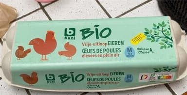 Oeufs de poules élevées en plein air