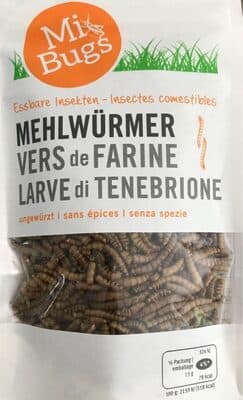 Vers de farine