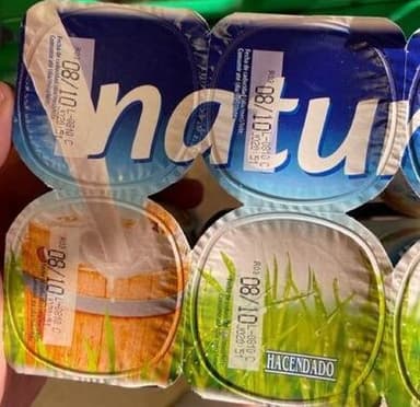 Yogur natural