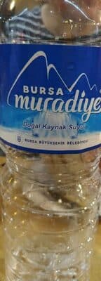 Bursa Muradiya