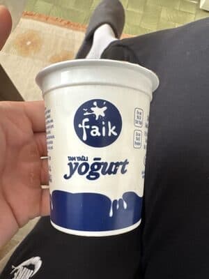 yoğurt