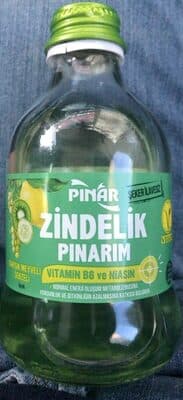 Zindelik pinarim
