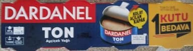 Ton Balığı