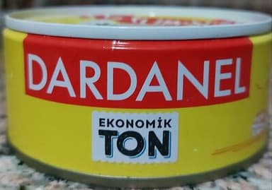 Ekonomik Ton