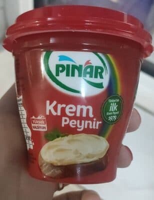 Pınar Krem Peynir 100