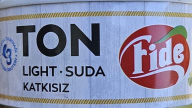 Ton Light
