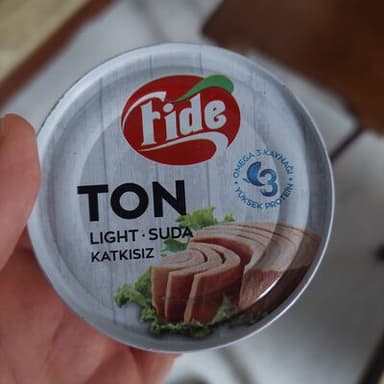 Light Ton Balığı