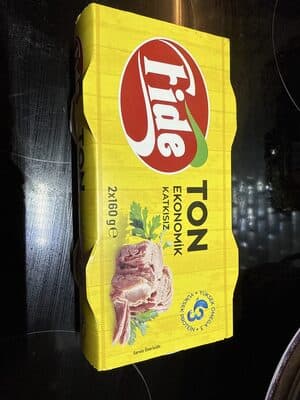 Ton Balığı