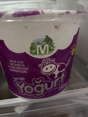 Yoğurt