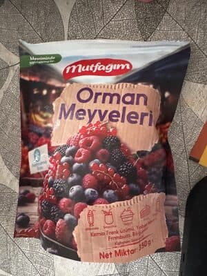 Orman meyveleri