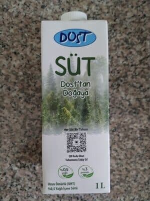 Süt