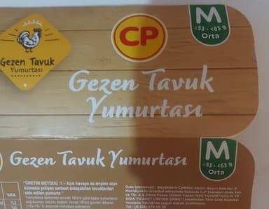 Gezen Tavuk Yumurtası