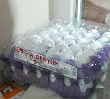 ALDENYUM YUMURTA L