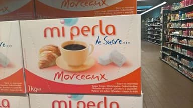 Mi Perla- Sucre En Morceaux