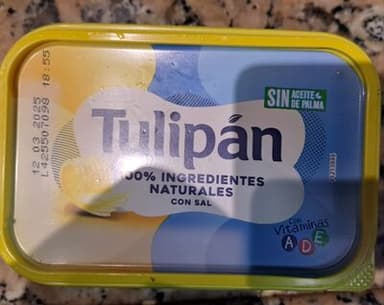 Tulipan