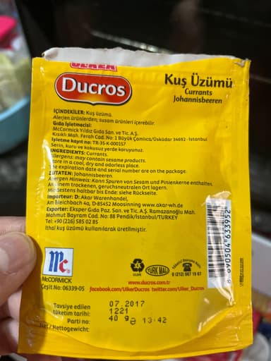 Kuş Üzümü