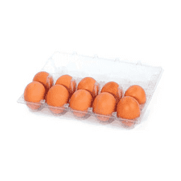 Organik Yumurta M 10'lu 53-62 G