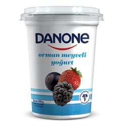 DANİNO ORMAN MEYVELİ 400 GR