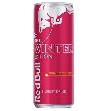 Red Bull Enerji İçeceği Winter Edition 250 ml