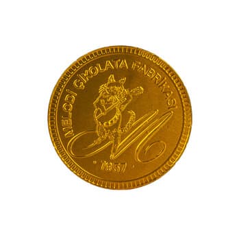 Melodi Büyük Para Çikolata 23 G