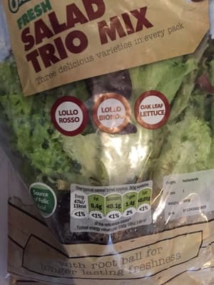 Multicolor Salat mit Wurzeln