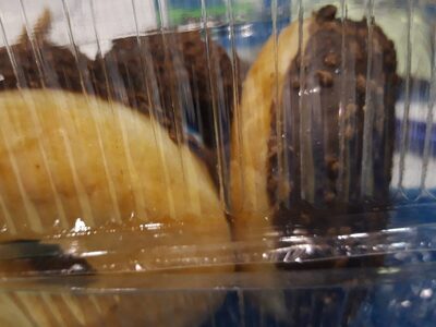 Donut mi chocolat