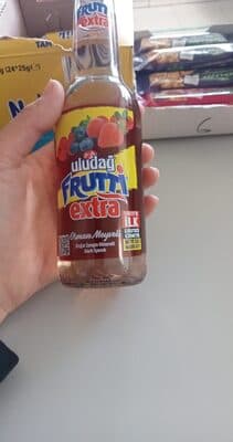 Uludağ furutti orman meyveli