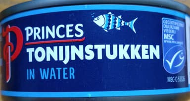 Tonijn in water