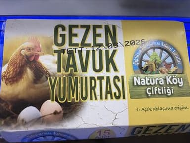 Gezen Tavuk Yumurtası