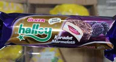 HALLEY ATIŞTIRMALIK
