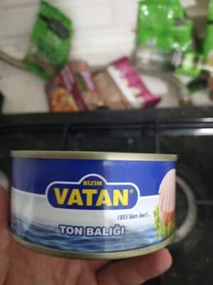 Ton balığı