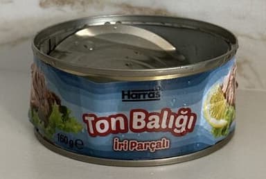 Ton Balığı