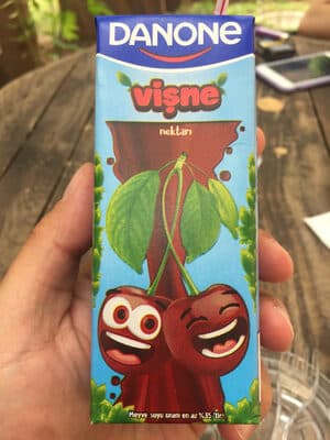 Danone Vişne Nektarı