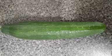 Salatgurke